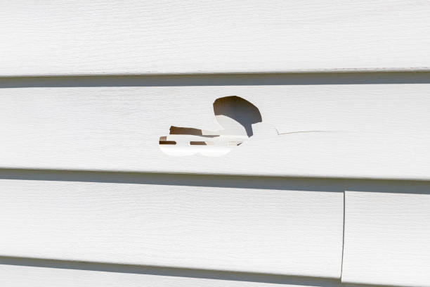 Best Shed Removal  in Cannelton, IN