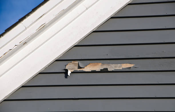 Best Hoarding Cleanup  in Cannelton, IN